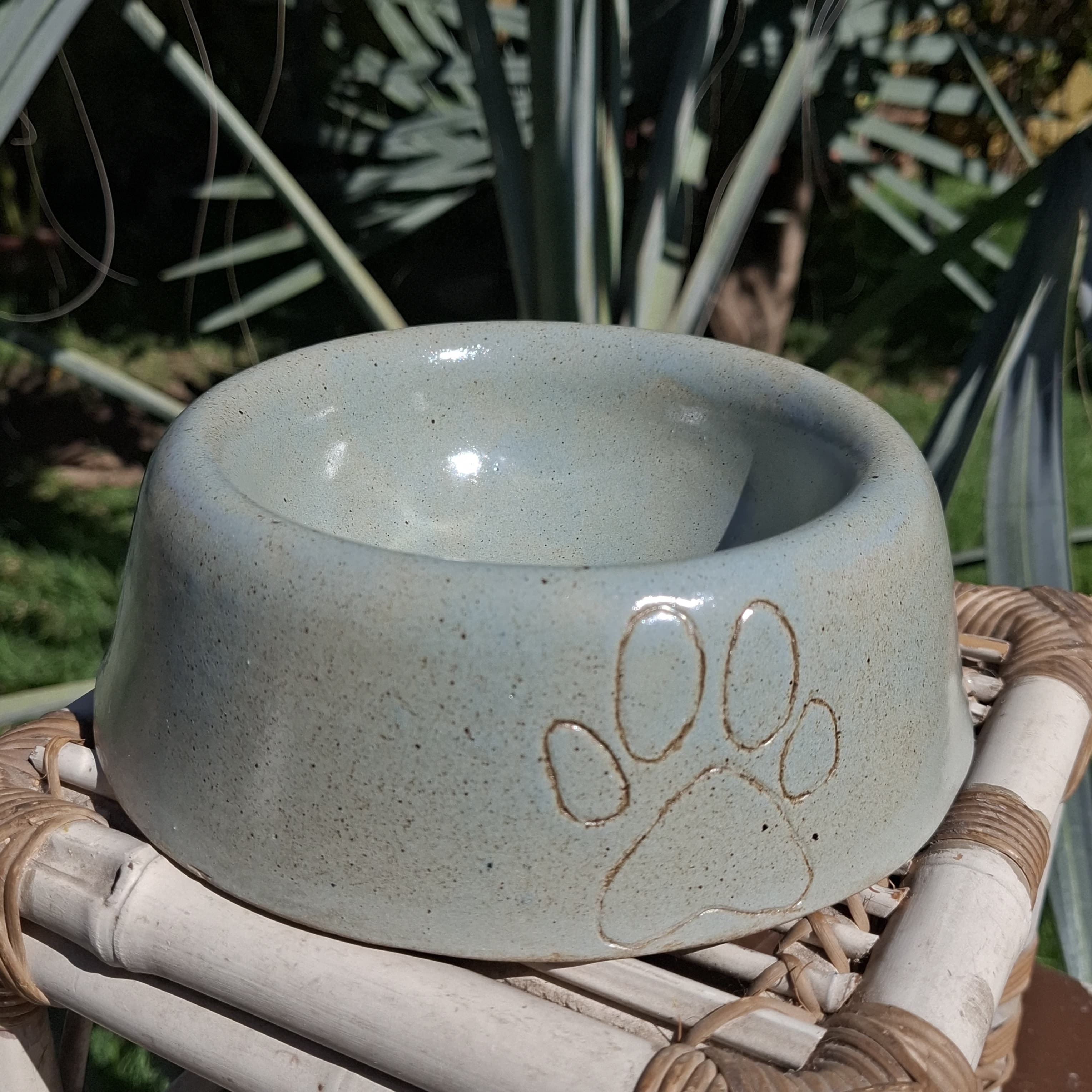 Pote para pet